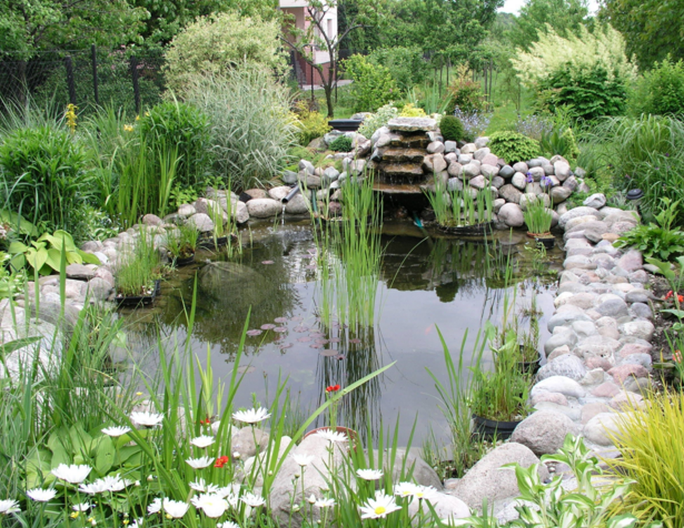 backyard ponds design in pasadena, md