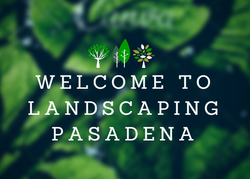 landscaping company in pasadena, md